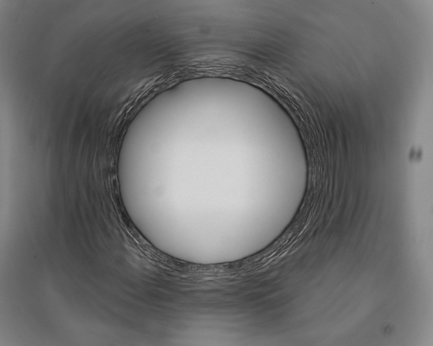 X0000095511108200801111407
