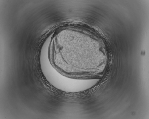 X0000095511110200801111407
