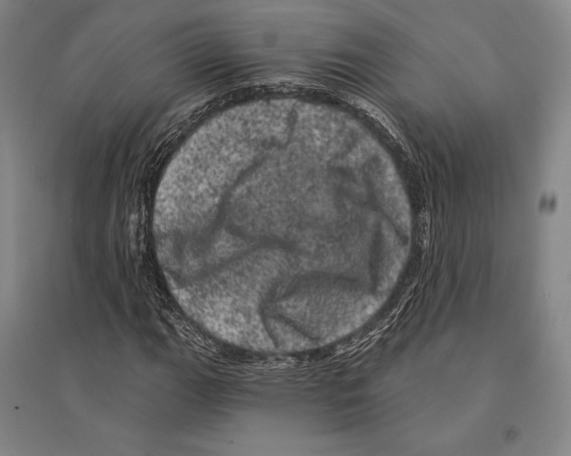 X0000095511111200801111407