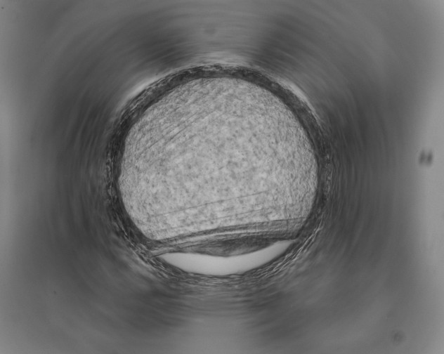 X0000095511112200801111407