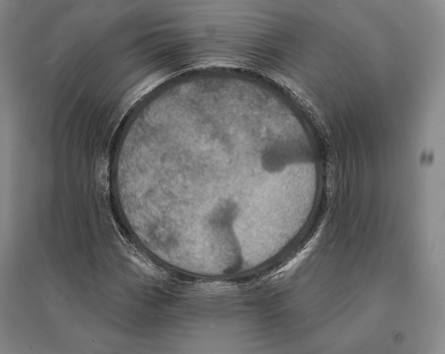 X0000095511113200801111407