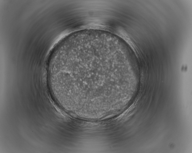 X0000095511115200801111407