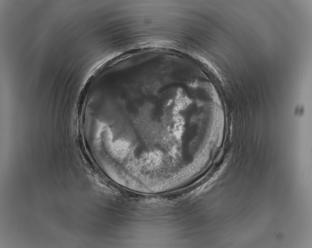 X0000095511117200801111407