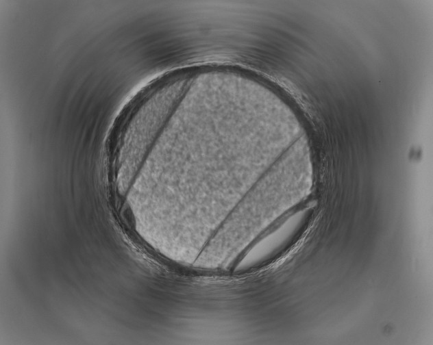 X0000095511118200801111407