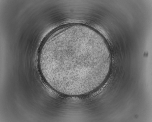 X0000095511119200801111407