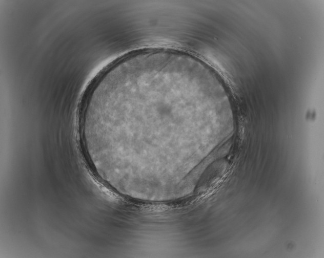X0000095511120200801111407