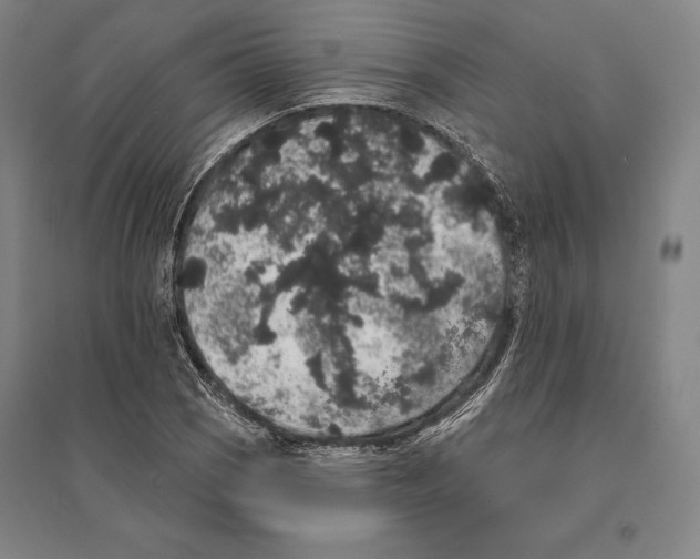 X0000095511121200801111407