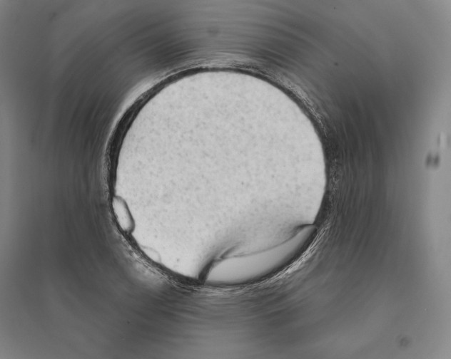 X0000095511122200801111407