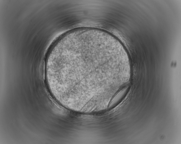 X0000095511123200801111407