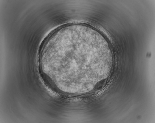 X0000095511124200801111407