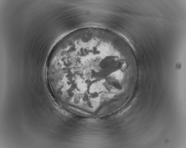 X0000095511125200801111407