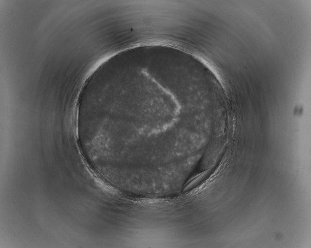 X0000095511127200801111407