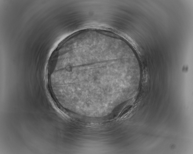 X0000095511128200801111407