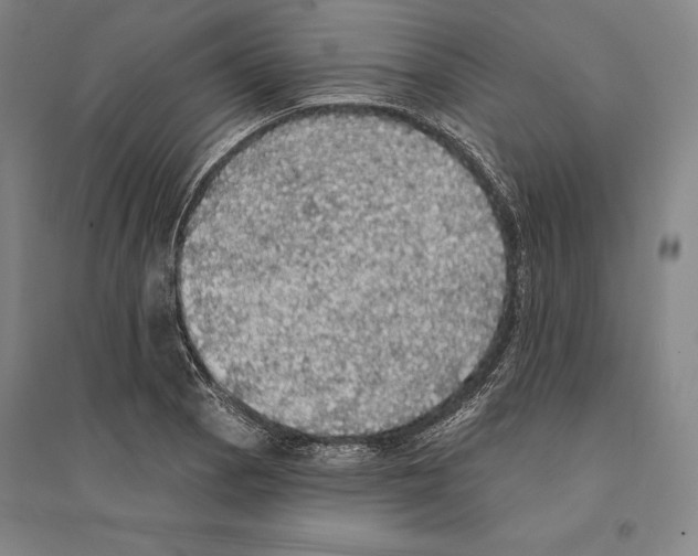 X0000095511129200801111407