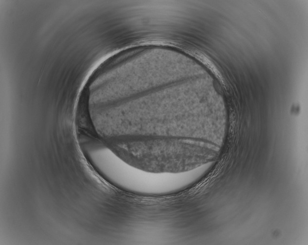 X0000095511132200801111407