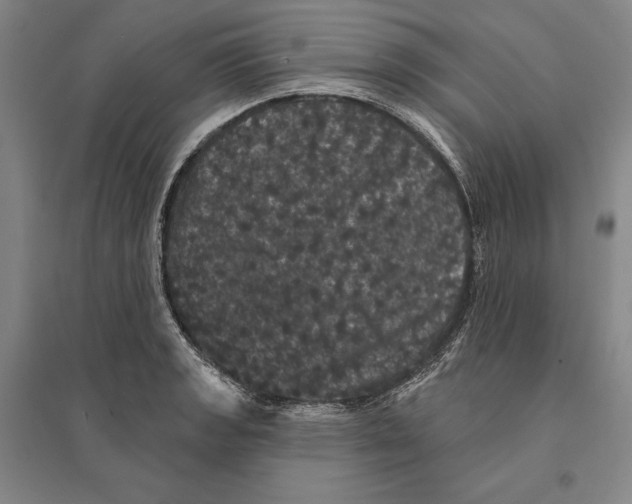 X0000095511133200801111407