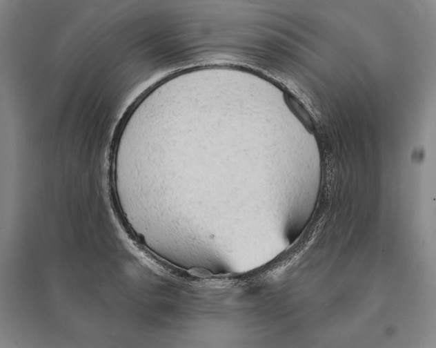 X0000095511134200801111407