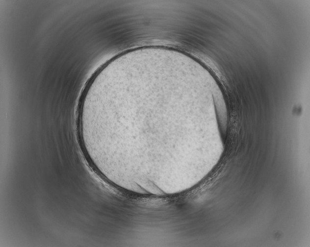 X0000095511135200801111407