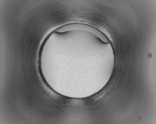 X0000095511136200801111407