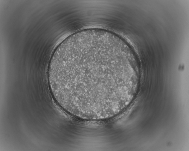 X0000095511137200801111407