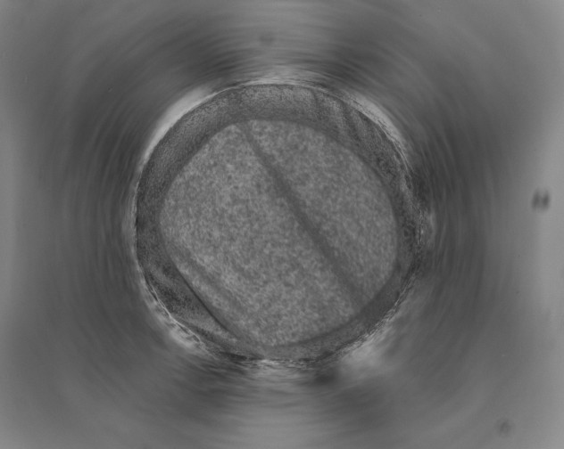 X0000095511138200801111407