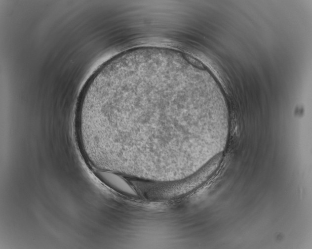 X0000095511139200801111407