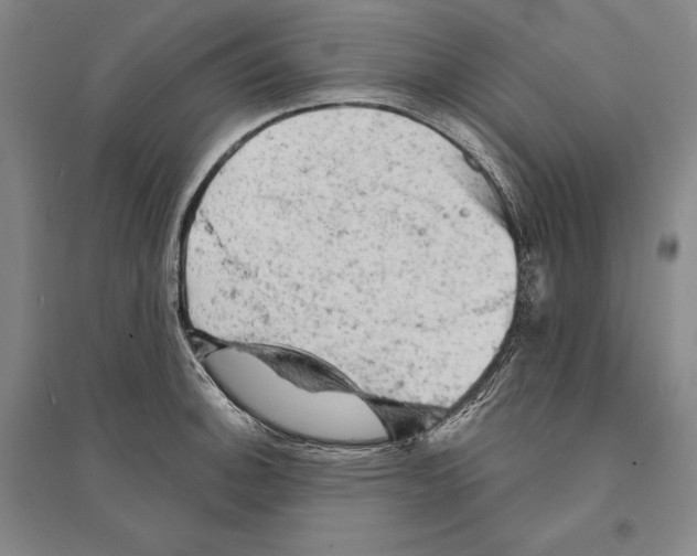 X0000095511140200801111407