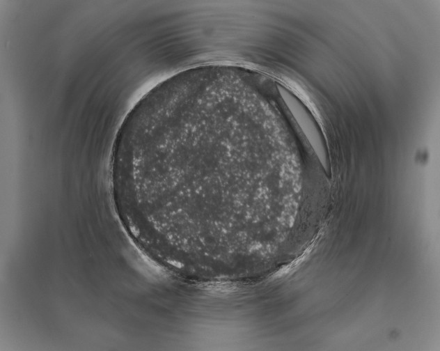 X0000095511141200801111407