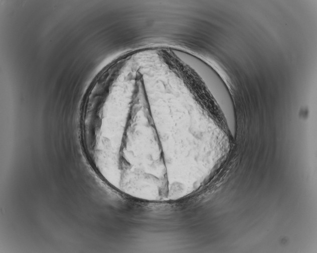 X0000095511142200801111407