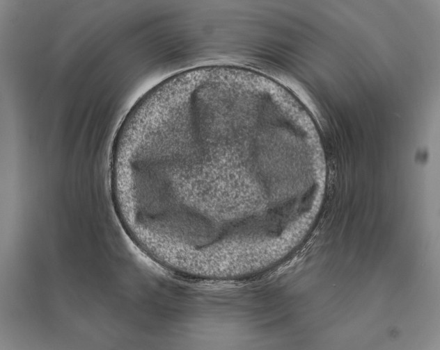 X0000095511143200801111407