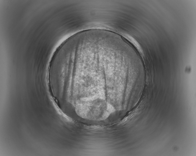 X0000095511144200801111407