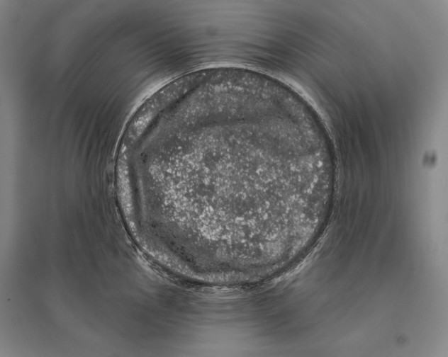 X0000095511145200801111407