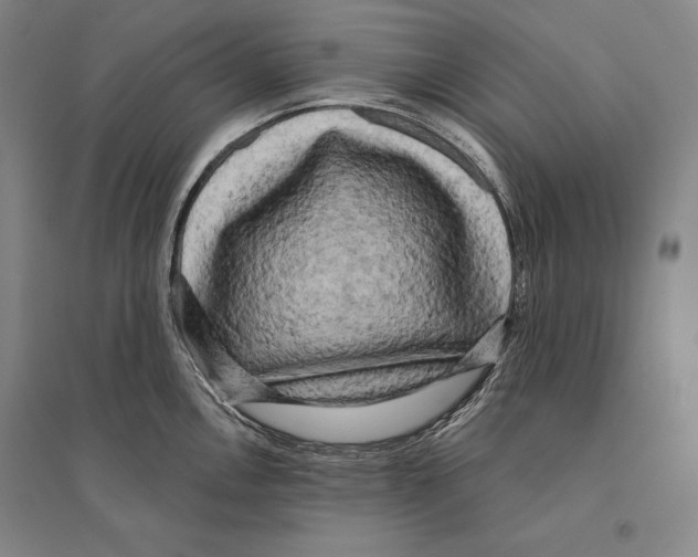 X0000095511146200801111407