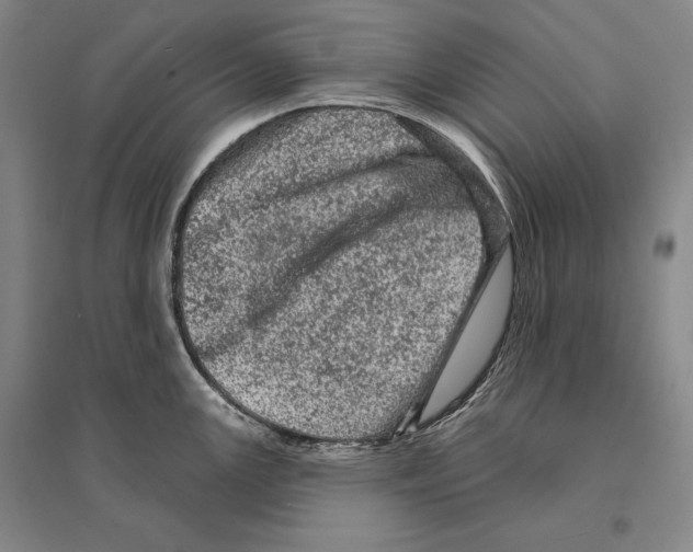 X0000095511147200801111407