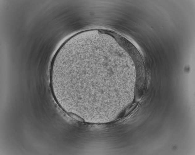 X0000095511148200801111407