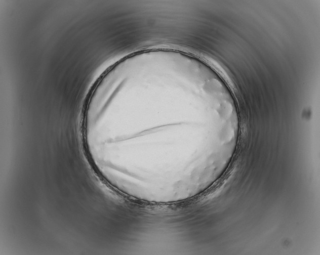 X0000095511149200801111407