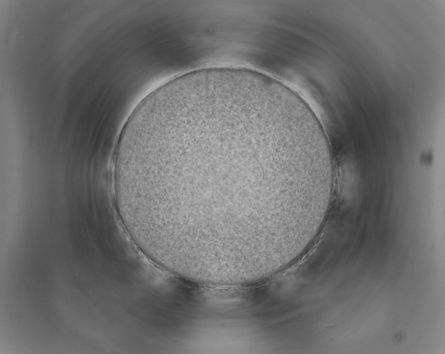 X0000095511150200801111407