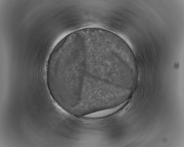 X0000095511151200801111408
