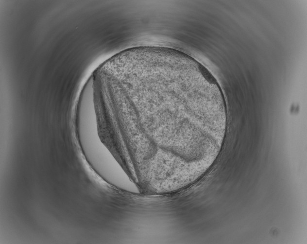 X0000095511152200801111408