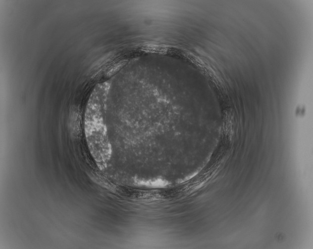 X0000095511154200801111407