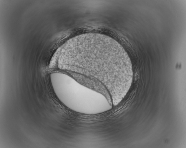 X0000095511156200801111407