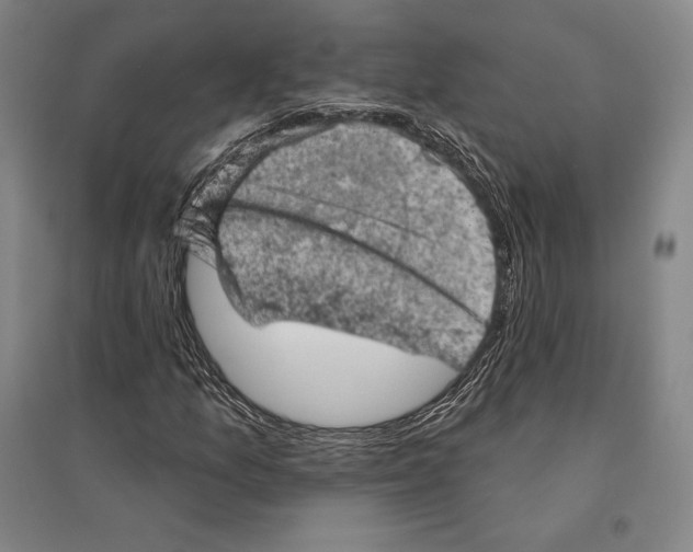 X0000095511157200801111407