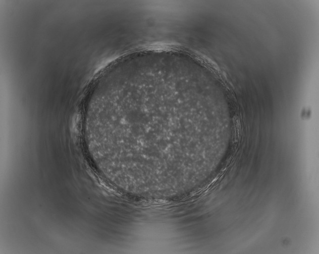 X0000095511158200801111407