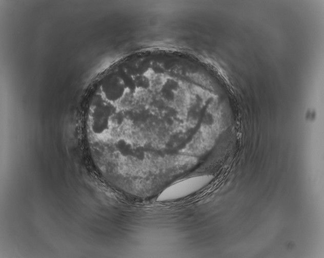 X0000095511159200801111407