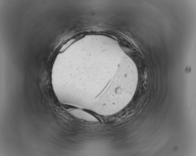 X0000095511160200801111407