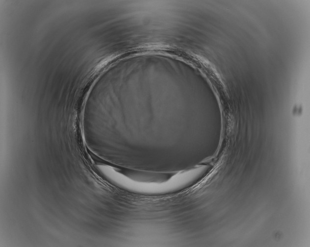X0000095511161200801111407