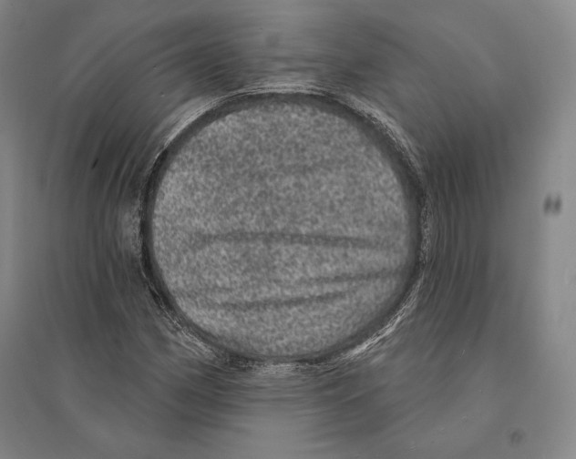 X0000095511162200801111407