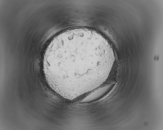 X0000095511163200801111407