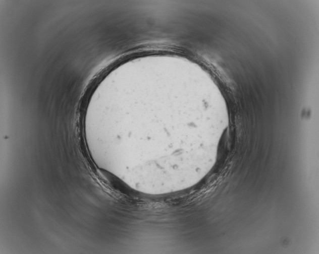 X0000095511164200801111407