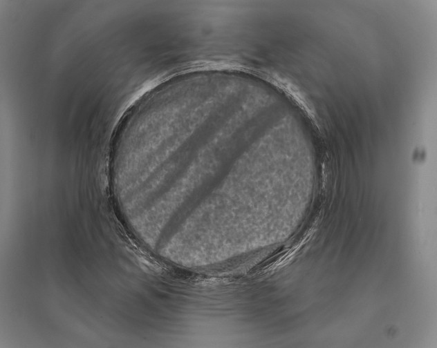 X0000095511165200801111407